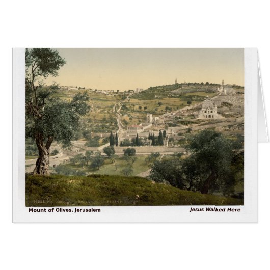 Jesus Walked Here: Mt. of Olives, Jerusalem Cards (Front Horizontal)