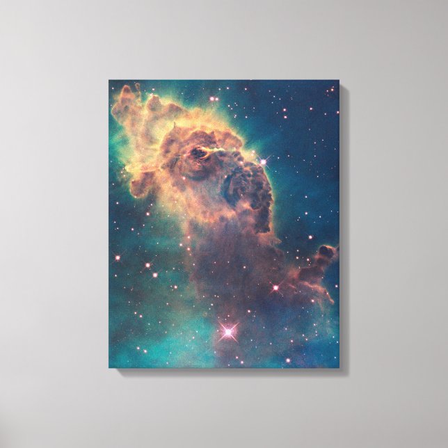 Jet in Carina Canvas Print (Front)