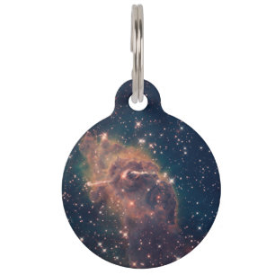 Jet in Carina- WFC3 UVIS:IR Composite Pet ID Tag