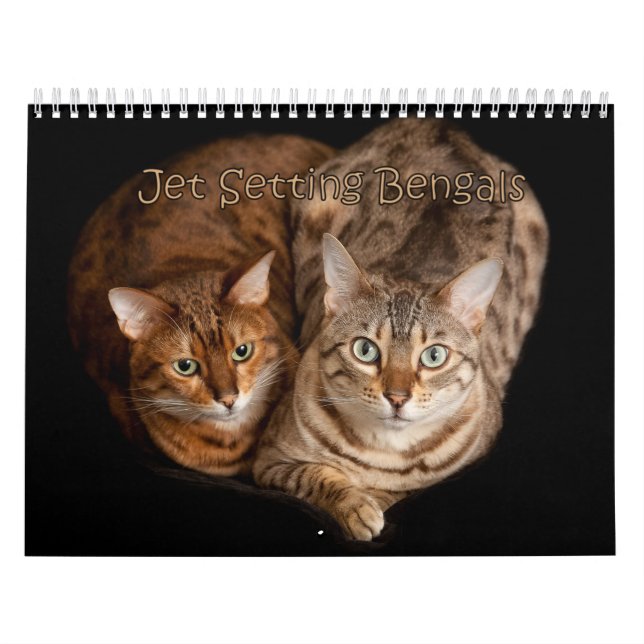 Jet Setting Bengals Calendar (Cover)