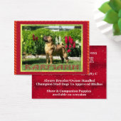 Jetta Shar-pei Profile Cards (Desk)