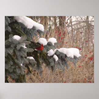 Jewel Among Trees Poster