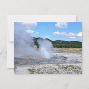Jewel Geyser, Yellowstone National Park Postcard