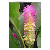 Jewel of Thailand (Front)