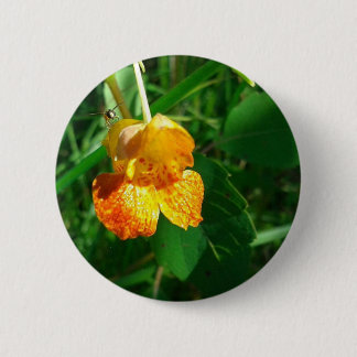 Jewel Weed, Wildflower Button