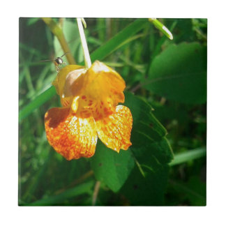 Jewel Weed, Wildflower Ceramic Tile