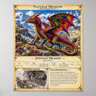 Jeweled Dragon Field Plate Poster