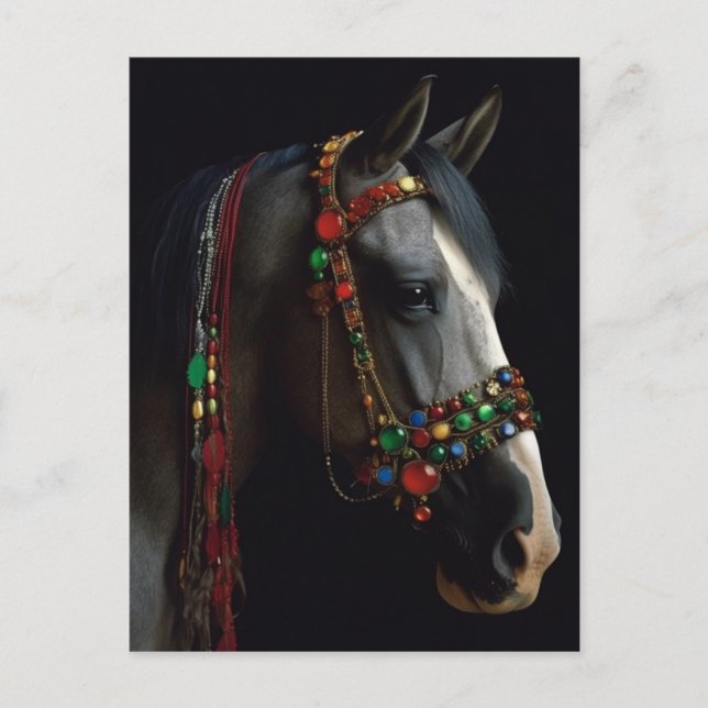 Jeweled Halter Horse Postcard (Front)