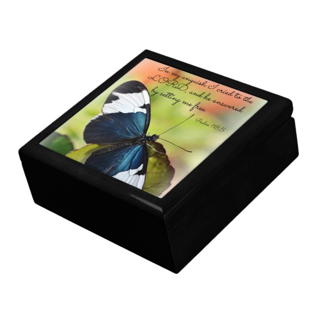 Jewelry Box/Large Blue Longwing Keepsake Box (Side)