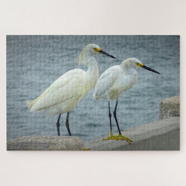 Jewelry  Herons Florida Jigsaw Puzzle (Horizontal)