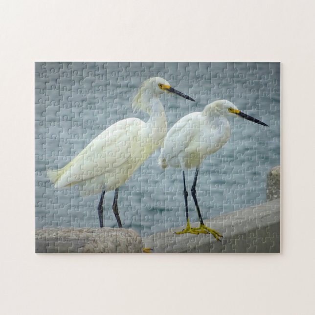 Jewelry  Herons Florida Jigsaw Puzzle (Horizontal)