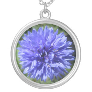 Jewelry - Necklace - Cornflower Blue Bachelors Btn