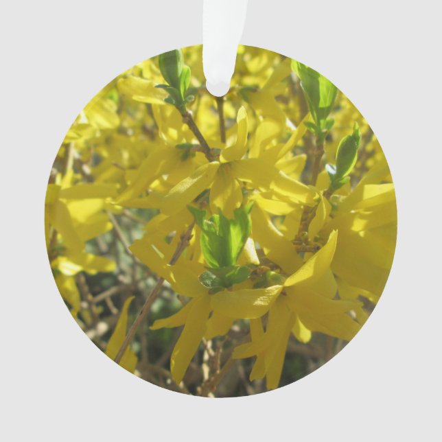 Jewelry - Pendant - Forsythia Ornament (Front)