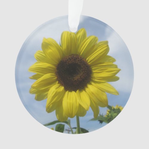 Jewelry _ Pendant _ Sunflower Summer Sky Ornament