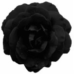 Jewelry - Pin - Black Gothic Rose Statuette<br><div class="desc">Made of acrylic with a metal back pin, this stunning, digitally modified, black rose makes a spectacularly beautiful accessory and is a little nod to our Gothic friends. Cut to the shape of the flower, it's a unique piece of jewelry that can be used in the lapel or to secure...</div>
