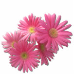 Jewelry - Pin - Dark Pink Gerbera Daisies R/F Statuette<br><div class="desc">There are so many stories about the daisy. In literature, Goethe immortalized the daisy when Marguerite needed to know if Faust loved her as she plucked the daisy petals and said, "He loves me. He loves me not." The daisy received its scientific name, Bellis, from mythology. It is said that...</div>