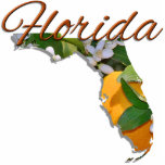 Jewelry - Pin - FLORIDA Cutout<br><div class="desc">Though occasionally referred to as "The Peninsula State", Florida's official nickname is "The Sunshine State". It was adopted officially by the Florida legislature in 1970. It probably comes as no great surprise that the state flower of Florida is the Orange Blossom. Florida and oranges are almost synonymous, thanks to the...</div>