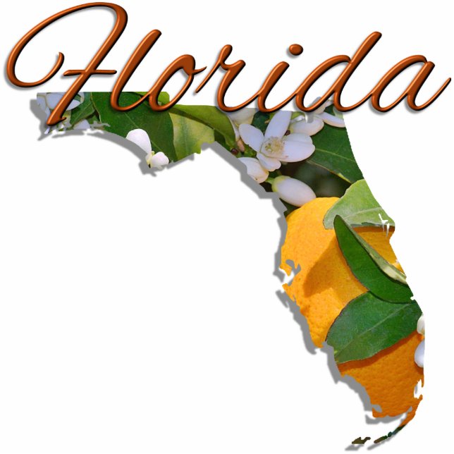 Jewelry - Pin - FLORIDA Cutout (Front)