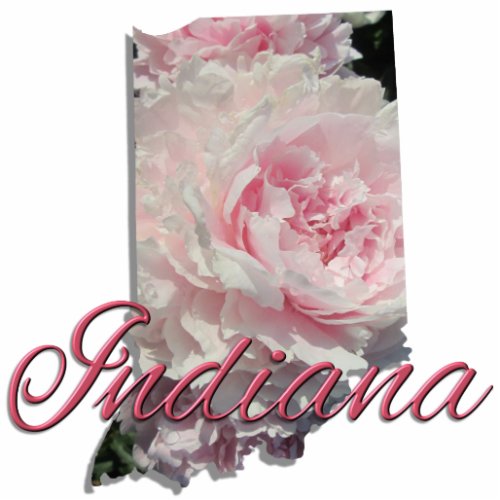 Jewelry _ Pin _ INDIANA Cutout