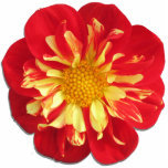Jewelry - Pin - StarSister Dahlia Statuette<br><div class="desc">Called the "Flower of August", due to its peak blooming season, the dahlia is one of the most unique of all flowers. Genetically, it is a wonder, carrying 8 genes instead of the usual 2, it embraces this diversity for shape, size and color. A member of the aster/sunflower family, the...</div>