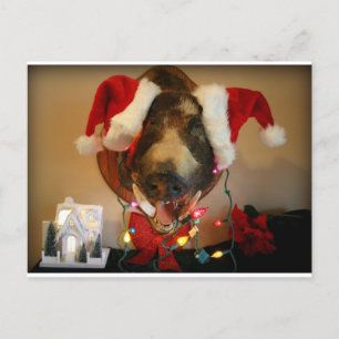 JG christmas card