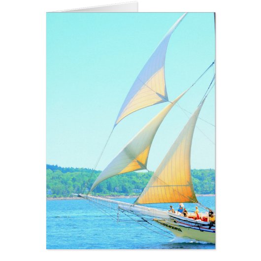 Jibs aflying (Front)