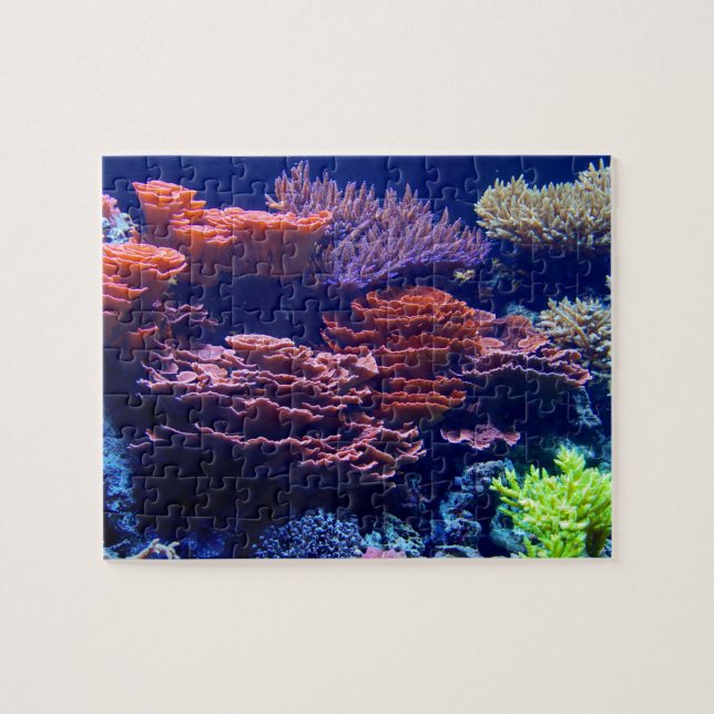 Jigsaw, beautiful colorful underwater ocean scene jigsaw puzzle (Horizontal)