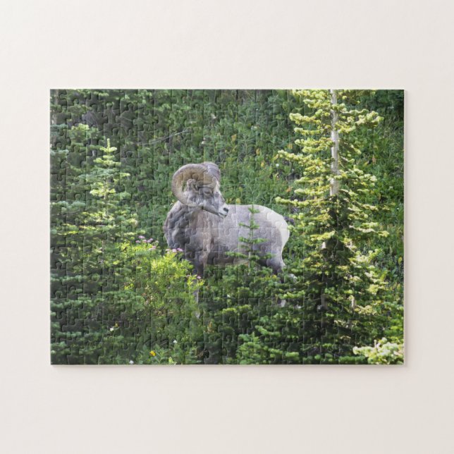 Jigsaw Glacier National Park Montana. Jigsaw Puzzle (Horizontal)