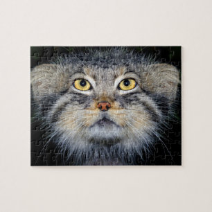 jigsaw - pallas cat puzzle