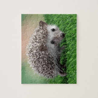 jigsaw puzzle