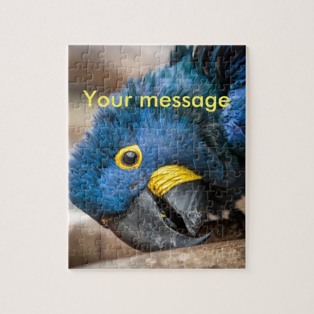 Jigsaw puzzle cute blue Hyacinth Macaw parrot (Vertical)
