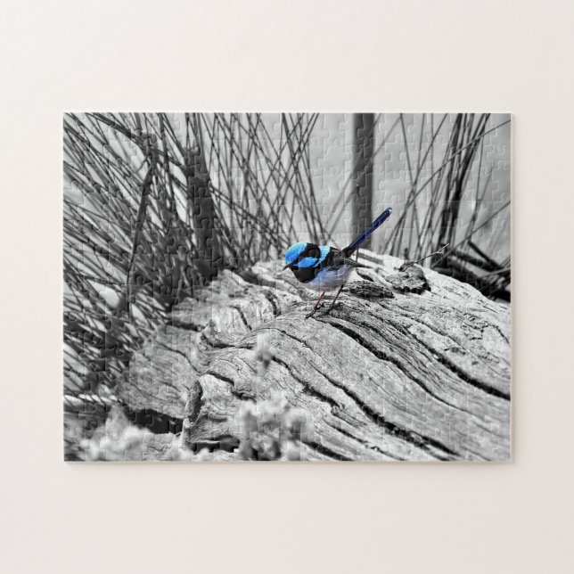 Jigsaw Puzzle Fairy Blue Wren - 250 Pieces (Horizontal)
