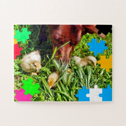 Jigsaw Puzzle for Kids Chicks