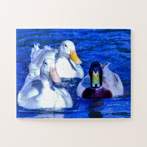 Jigsaw Puzzle for Kids Ducks