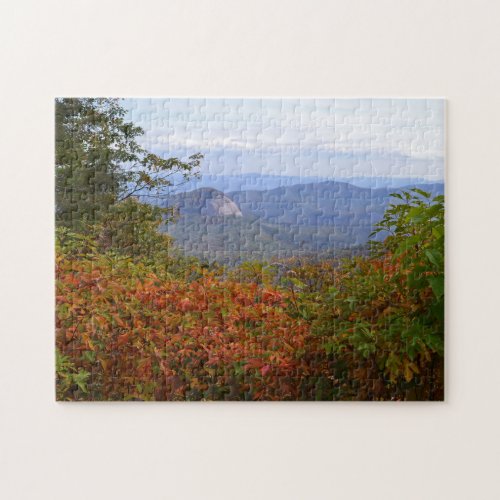 jigsaw puzzle _ Looking Glass Rock