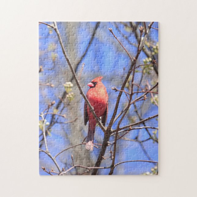 Jigsaw puzzle male northern Cardinal in tree (Vertical)
