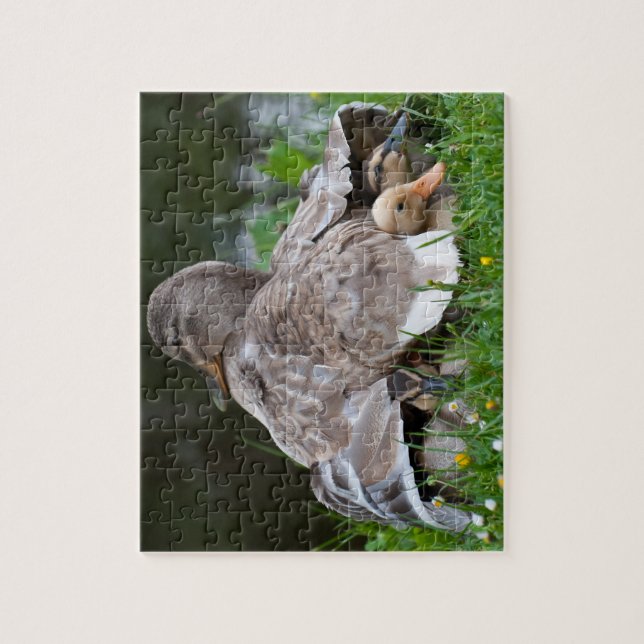 Jigsaw Puzzle: Mallard duck and ducklings Jigsaw Puzzle (Vertical)