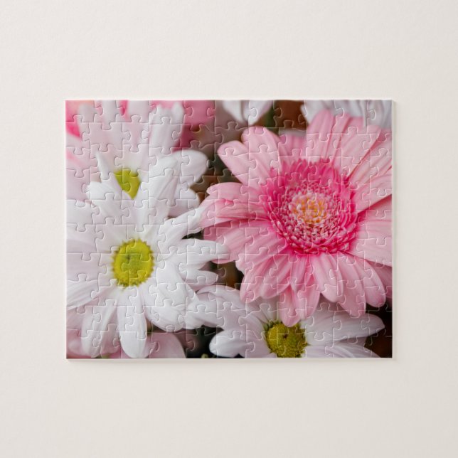 Jigsaw Puzzles - Daisy Gerbera Flowers (Horizontal)