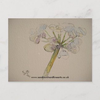 Jigsaw series - Cow parsley 2010 Postcard