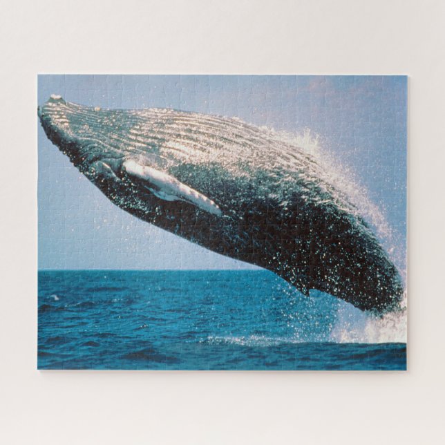 Jigsaws Humpback Whales. Jigsaw Puzzle (Horizontal)