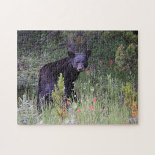 Jigsaws Jasper National Park Canada. Jigsaw Puzzle