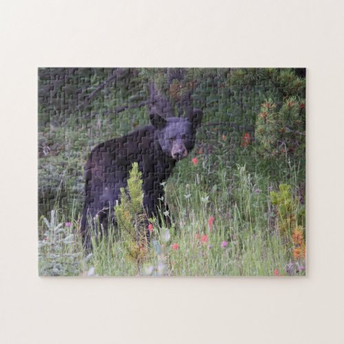 Jigsaws Jasper National Park Canada Jigsaw Puzzle