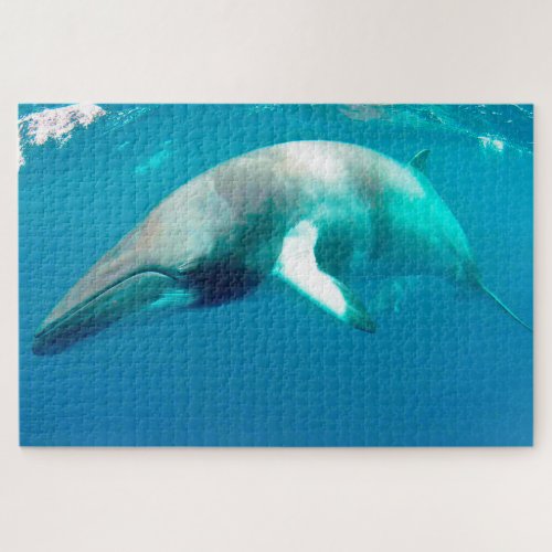 Jigsaws Minke Whales Jigsaw Puzzle