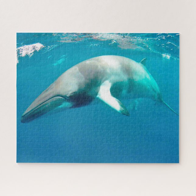 Jigsaws Minke Whales. Jigsaw Puzzle (Horizontal)