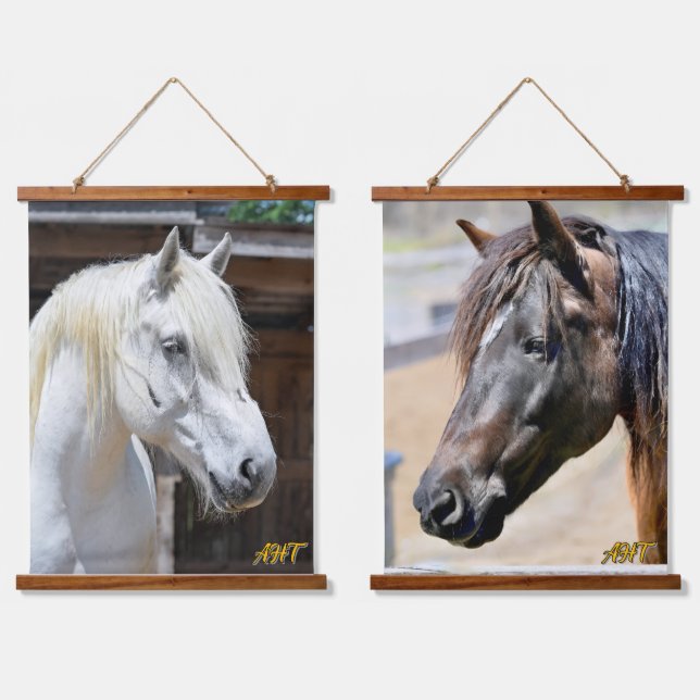 Jilly & Ruby AHT Wall Tapestries (Double)