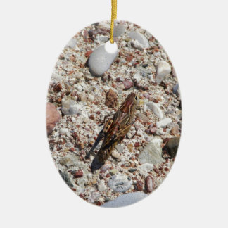 Jiminy Cricket Ceramic Ornament