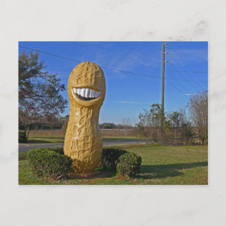 Jimmy Carter Smiling Peanut - Plains GA Postcard
