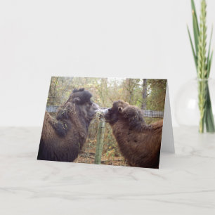 Jingle Baba and Google Mama Card