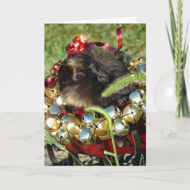 Jingle Bell Guinea Pig Holiday Card (Front)