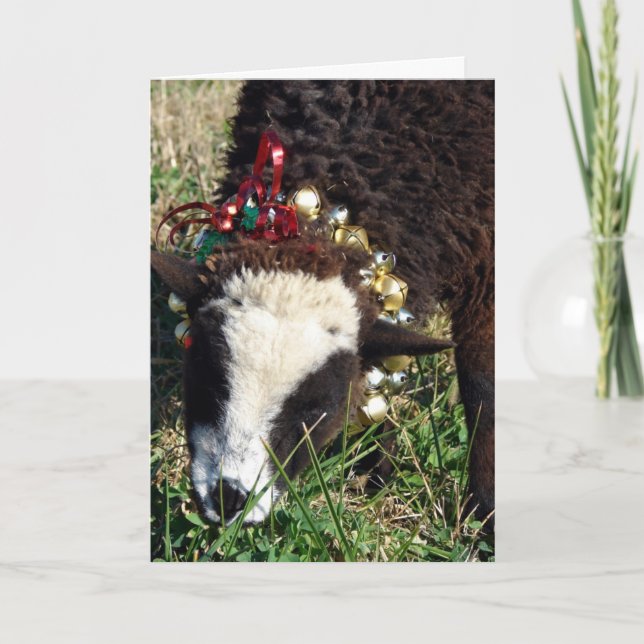 Jingle Bell Lamb, Merry Christmas Holiday Card (Front)